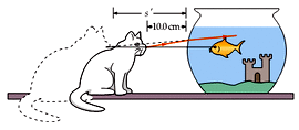 Exemplo: espelho convexo A imagem que o peixe vê do gato estámais afastada do que a realidade. O peixe está num aquário esférico com 15 cm de raio cheio de água com n água =1,33.