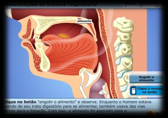 Interação permanente nos estudos: tutoria presencial, tutoria a distância - 0800 e plataforma,