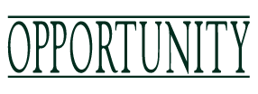 OPPORTUNITY DISTRIBUIDORA DE TÍTULOS E VALORES MOBILIÁRIOS LTDA. Av. Presidente Wilson, 231-28º andar - Centro - Rio de Janeiro R.J.- CEP: 20030-021 - Tel: 55 21 3804-3774 - Fax: 55 21 2532-7112 CNPJ: 01.