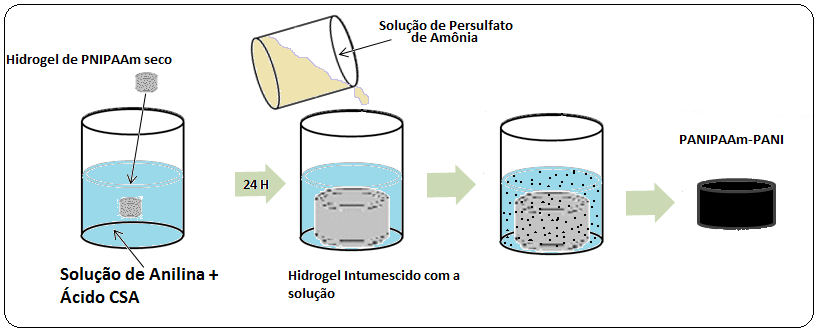 33 Figura 23 - Esquema representativo da formação de poros usando PEG 400. 4.3.2 Etapa 2: síntese da Rede semi-interpenetrantes PNIPAAm-PANI.