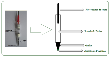 % T 47 Figura 31 - Eletrodo de microcavidade utilizado nos experimentos de voltametria cíclica. 5.0 RESULTADOS E DISCUSSÕES 5.