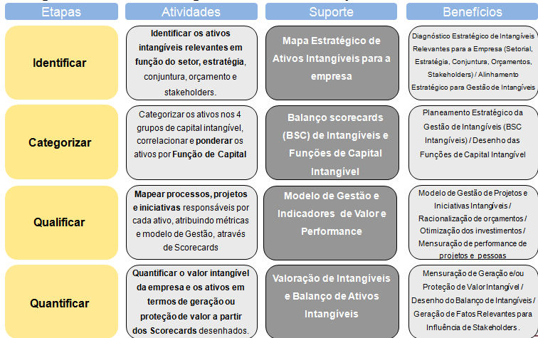 Figura 16 Etapas de Implementação do IAM Fonte: Domeneghetti e Meir (2009, p.