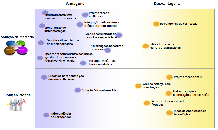 desenvolvimento de uma solução própria de ERP para o governo em detrimento da aquisição de um software de mercado.