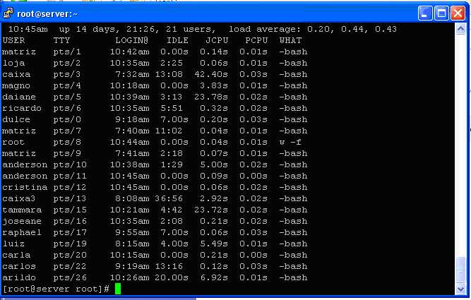 A Figura 6.1 apresenta a tela de processos em execução no sistema sem o monitoramento do GPI. Figura 6.1 Resultado do comando w -f exibindo processos ociosos no Linux Através da Figura 6.