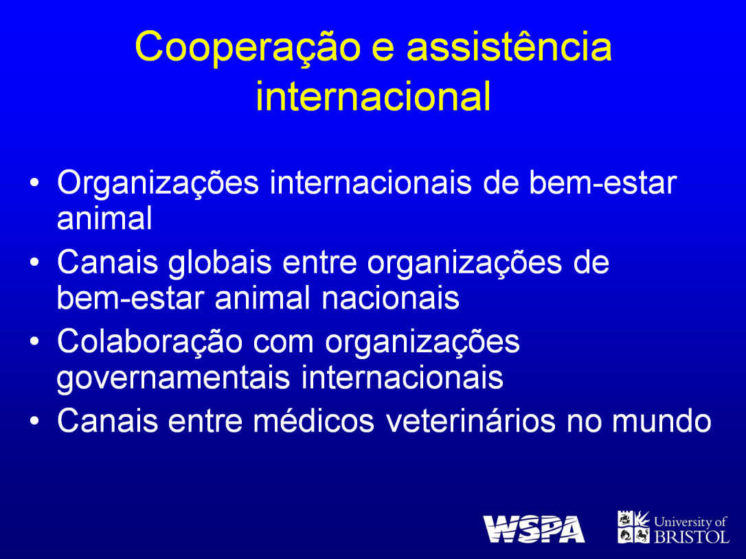 Cada vez mais as grandes organizações de bem-estar animal estão trabalhando em conjunto para coordenar campanhas globais ou regionais.