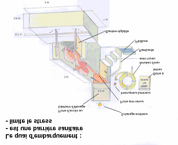 RACOMANDAÇOES SOBRE A PLATAFORMA E A RAMPA Grandin et al.