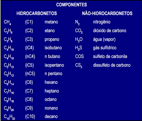 Figura 2.3. Constituintes do gás natural. Fonte Petrobras, 2003. Tabela 2.1. Composição típica de Gás Natural.