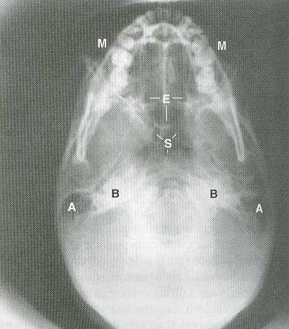 incidências (WILLIAMS et al., 1992).