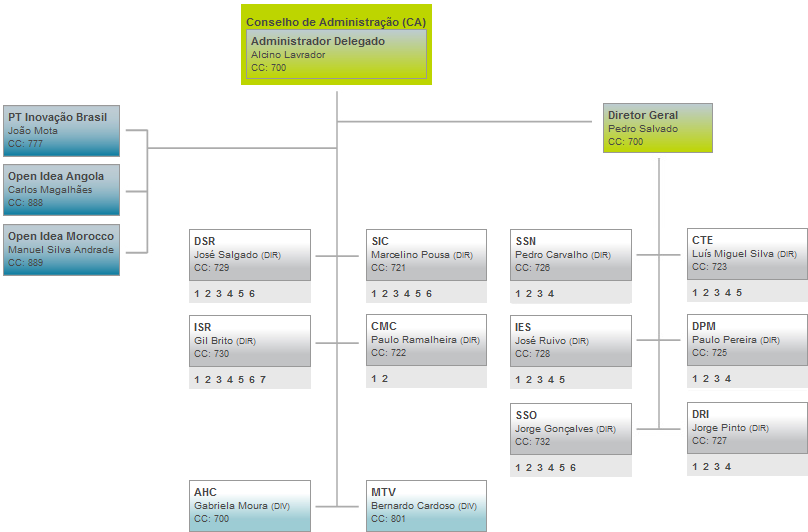 Estrutura organizacional A PT Inovação Portugal atualmente é uma empresa que se encontra descentralizada, encontrando-se organizada em direções de 1ª e 2ª linha, representando as primeiras os centros