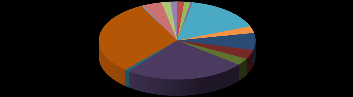 0,3% 30,9% 4,1% 1,8% 1,4% 0,0% 1,4% 1,3% 0,4% 15,9% 2,8% 7,1% 3,8% 2,9% 0,9% 24,9% Carvão energético Lenha Bagaço Outras fontes Primárias Óleo Diesel Óleo Combustível Gasolina GLP Querosene Gás