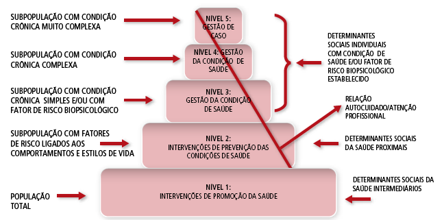 FONTE: MENDES (2011) O MODELO DE ATENÇÃO ÀS CONDIÇÕES CRÔNICAS (MACC)