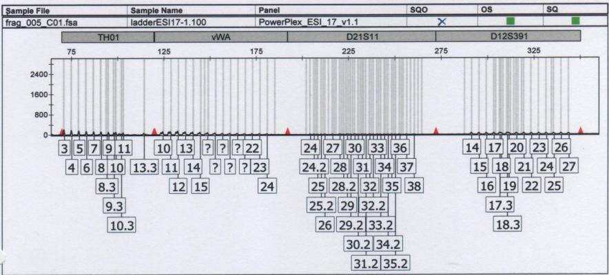 comprimento de onda correspondente à cor preta (a) e ampliação do marcador TH01, evidenciando a capacidade do método de detetar alelos com apenas um nucleótido de diferença (b).