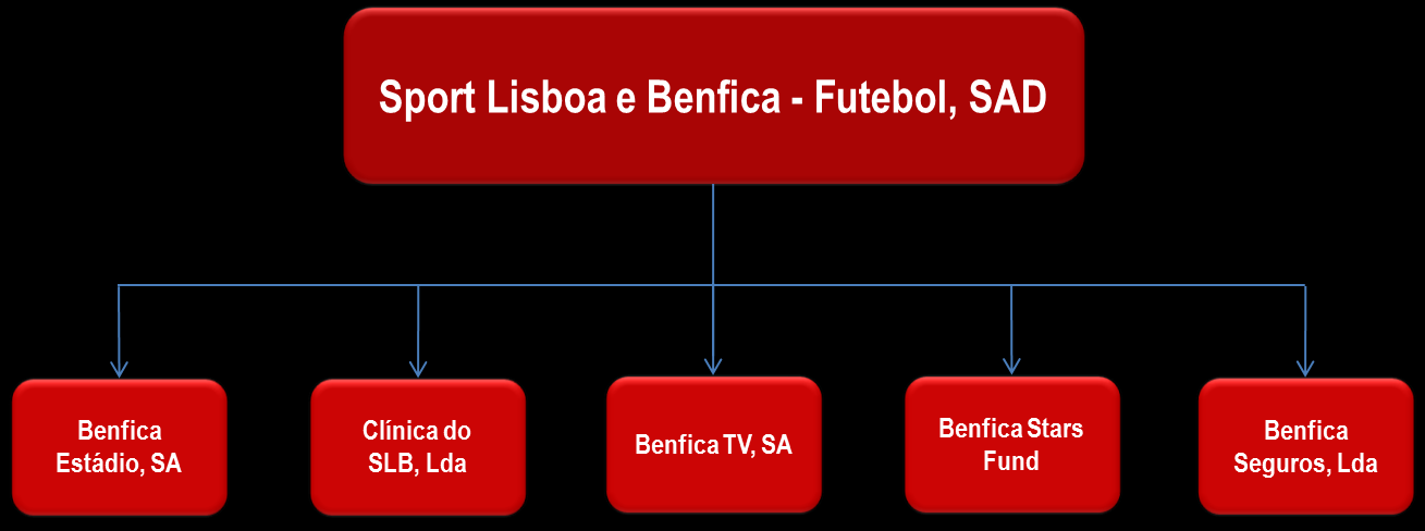 Manuel César Costa Vogal: Rui Manuel Lobo Gomes da Silva Conselho Fiscal Presidente: Rui António Gomes do Nascimento Barreira Vogal: Nuno Afonso Henriques dos Santos Vogal: Gualter das