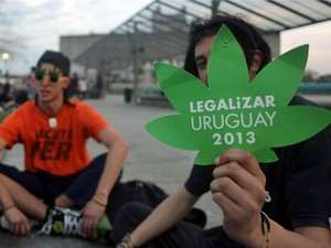 Um dos assuntos mais falados hoje em dia a respeito do Uruguai é o fato de ter sido o primeiro país a legalizar a maconha.