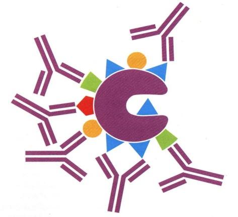 SOROS POLICLONAIS E SOROS MONOCLONAIS 4 SOROS POLICLONAIS E SOROS MONOCLONAIS 4.1 Imunogénios Um imunogénio é um antigénio, sintético ou natural, utilizado para produzir anticorpos em massa.