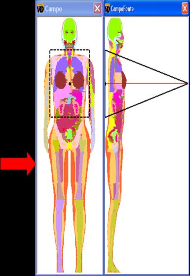 Figura 1: Fluxograma geral das funções disponíveis ao usuário na GUI VoxelDose.