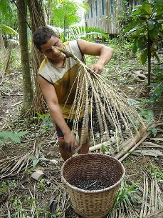 No caso do desenvolvimento de produtos Trabalhos somente com