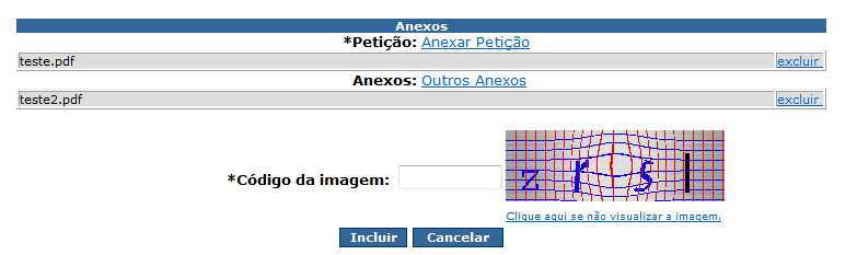 1 2 Preencher o código da imagem e incluir o processo. Verificar se chegou no e-mail o código para validar o processo.