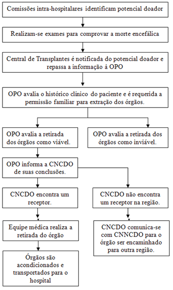 São Paulo. Na pesquisa será analisado o processo de transplantes no estado de São Paulo (figura 2).