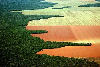 Bioma Amazônia ou Domínio Amazônico Mata de Terra