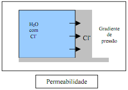 64 c) Permeabilidade a líquidos sob pressão hidráulica Mehta e Monteiro (2008) definem permeabilidade como a facilidade com que um fluido pode escoar através de um sólido (neste caso, o concreto),