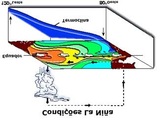 La Niña Anomalia de temperatura da superfície do mar em dezembro de 1988. Plotados somente as anomalias negativas menores que -1ºC.