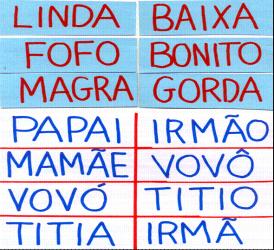 Fazendo combinações * Estimula: ampliação do vocabulário, desenvolvimento de conceitos de singular/plural; masculino/feminino; sinônimo/antônimo, construção de frases, adjetivos, substantivos.