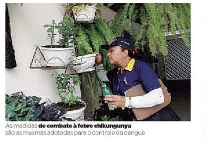 Clipping Eletrônico - Terça-feira dia 30/12/2014 Jornal