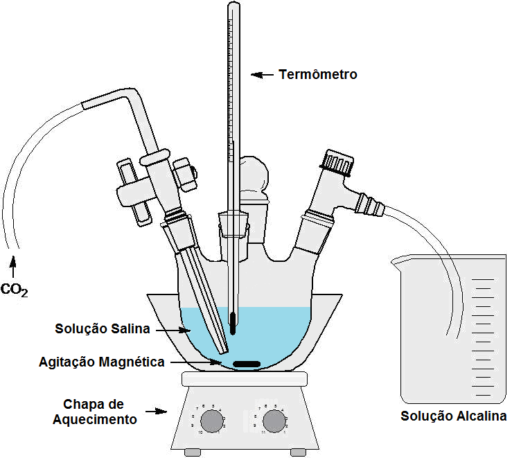 63 Figura 4.1. Representação esquemática do sistema utilizado na reação de carbonatação em condições brandas.