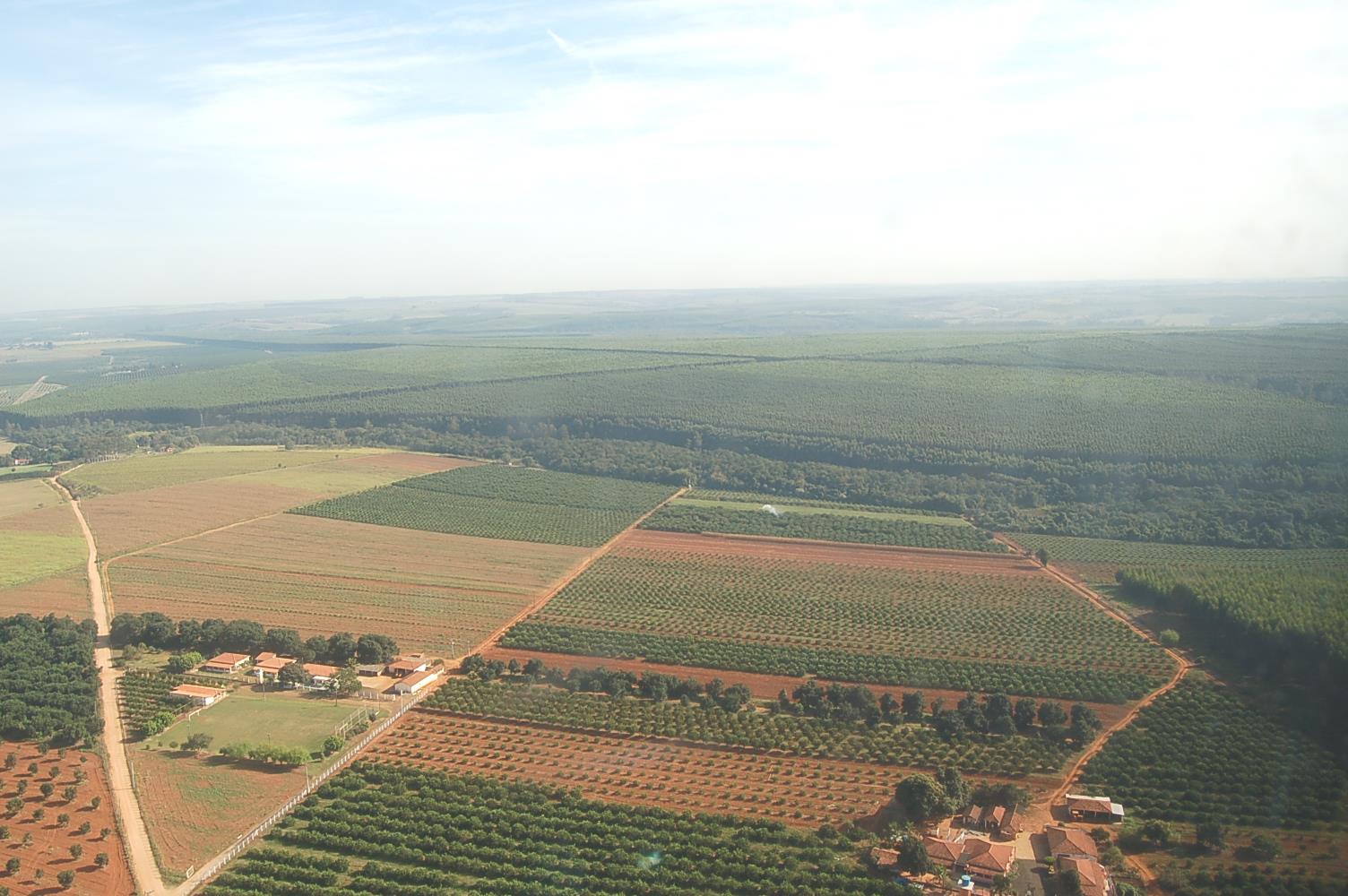 Modelos de Desenvolvimento Agropecuário do Cerrado Brasileiro Paulo