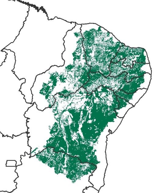 Avaliação do Impacto da Seca em áreas agrícolas e pastagens: Indicador VSWI Porcentagem de área com pastagens e atividades agrícolas afetadas pela seca (%) COMPARAÇÃO COM MESSES E