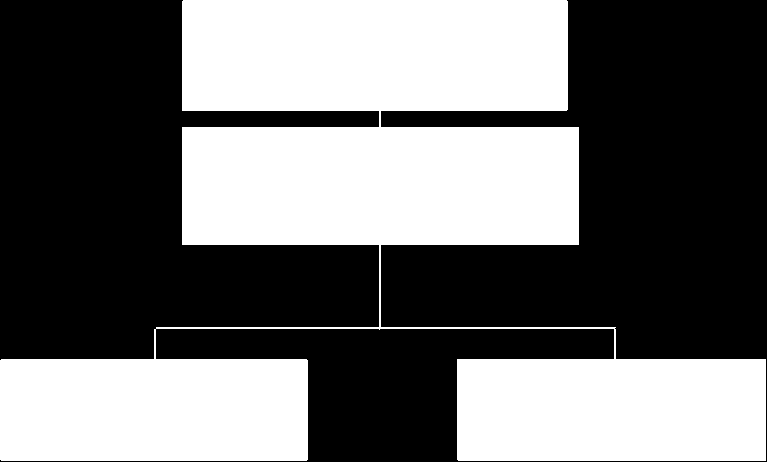 38 Figura 2: organograma do Grupo CEEE (RELATÓRIO DE GESTÃO 2007-2009) 4 4.