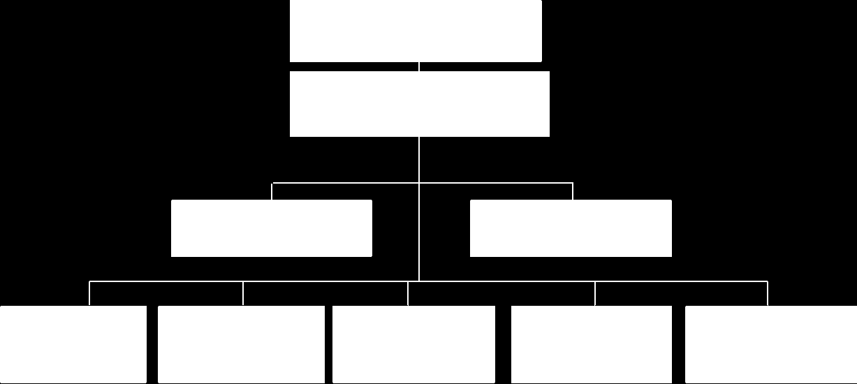 40 Figura 3: organograma da área administrativa do Grupo CEEE (RELATÓRIO DE GESTÃO 2007-2009) 5 A Divisão, de acordo com o Relatório de Gestão, coordena e controla os processos e atividades