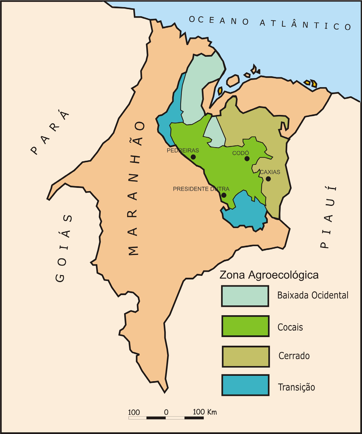 O Estado do Maranhão participa, em média, com cerca de 65% da área nacional de ocorrência do babaçu, o que representa 30% da superfície do Estado.