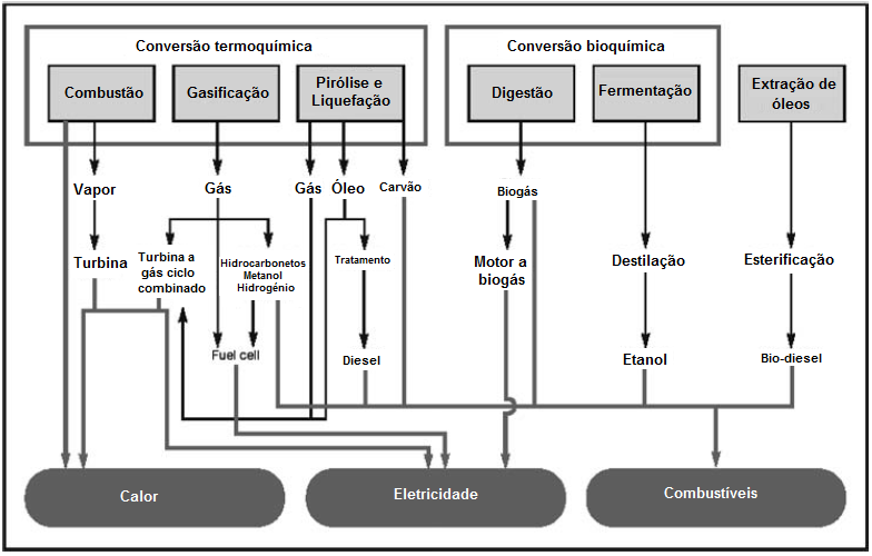 Na Figura 8 encontram-se identificadas as diferentes formas de conversão e utilização da bioenergia. Nesta dissertação será focado em detalhe apenas o processo de combustão.
