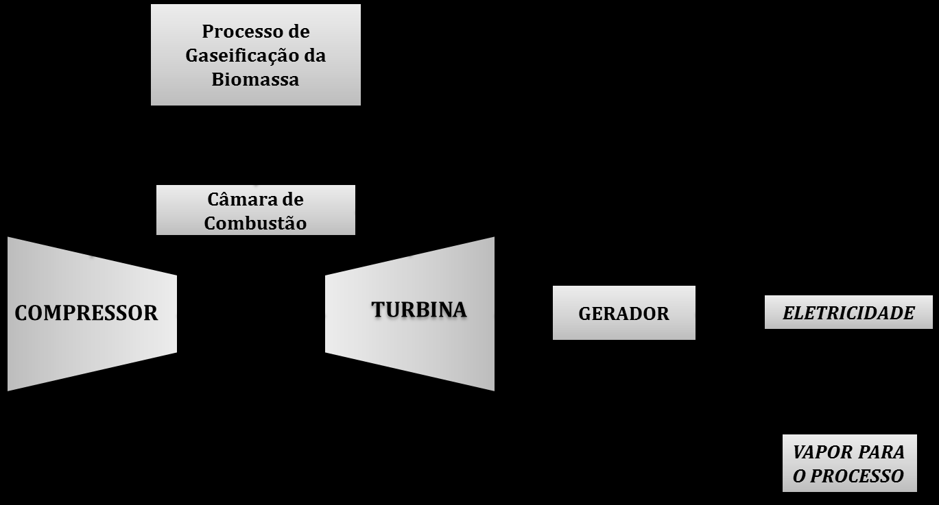 53 Figura 20 - Ciclo combinado integrado à gaseificação da biomassa. 3.2. O Bambu no Mundo O bambu é uma espécie vegetal classificada botanicamente como Bambusae, uma tribo da família das.