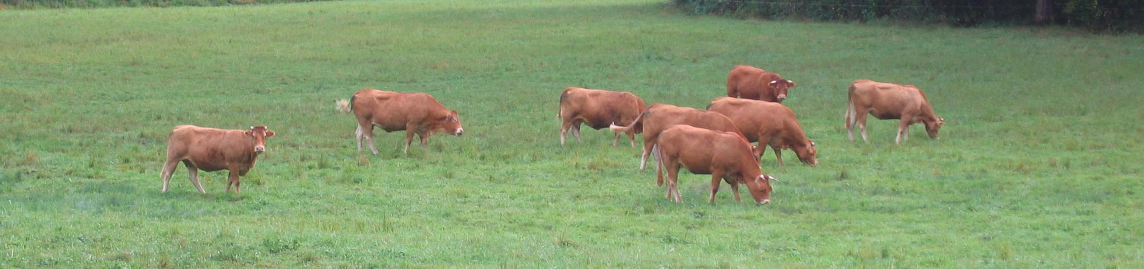 Agri-plastic produz resíduos (fora a