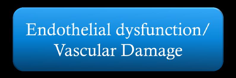 Pathophysiology Recurrent Bouts of Ventilatory Overshoots and