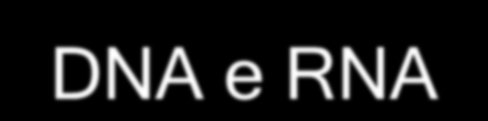 Diferenças estruturais entre DNA e RNA DNA O RNA O H 3 C NH NH N O H Thymine (T) N O H
