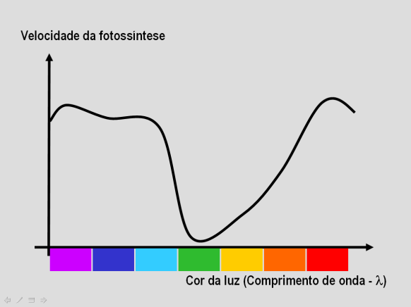 Velocidade da