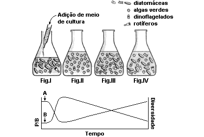 b) Suponha que, com o reflorestamento, estágios mais avançados da sucessão ecológica tenham sido alcançados.