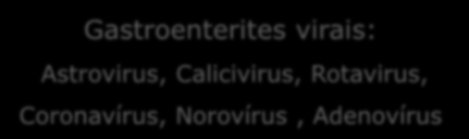 Grupos de vírus de acordo com critérios epidemiológicos Gastroenterites virais: Astrovirus,