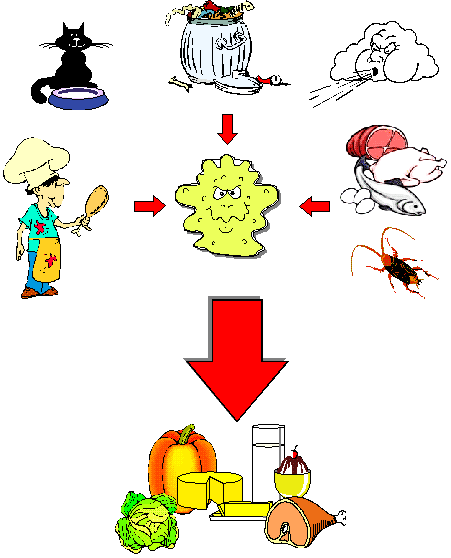 ONDE OS MICRORGANISMOS PODEM SER ENCONTRADOS?