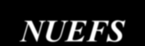 O Núcleo de Educação e Formação em Saúde - NUEFS Equipe que compõe o NUEFS Direção ANDREY LUIS MOZZER andreymozzer@saude.es.gov.br nefs.dir@saude.es.gov.br (27) 3325-3573 Equipe Técnica DÓRIS GRIFFO ALMEIDA dorisgriffo@saude.