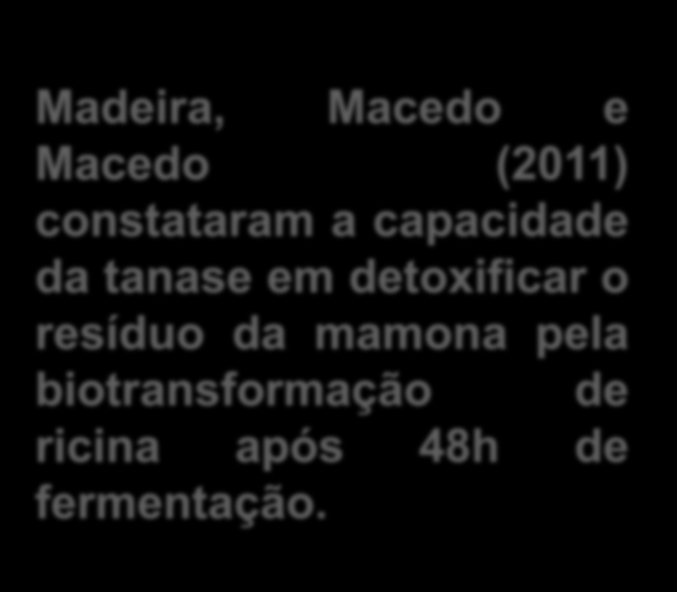 Madeira, Macedo e Macedo (2011) constataram a capacidade da tanase em detoxificar o resíduo da mamona pela biotransformação de ricina após 48h de fermentação.