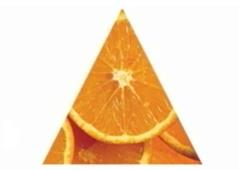 Pirâmide Olfativa E como o conhecimento das notas olfativas ajudam a vender?