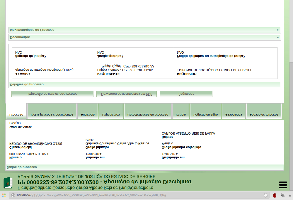 processo), uma nova janela surgirá contendo as