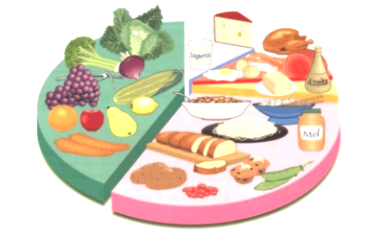 Conceitos básicos em nutrição Nutrientes Reguladores