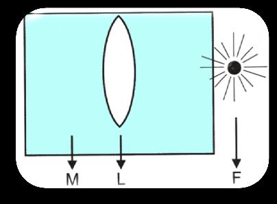(FMJ) A figura mostra uma gota de água sobre uma folha, permitindo ver detalhes ampliados através dela, sem invertê-los. a) Será convergente. b) Será divergente.