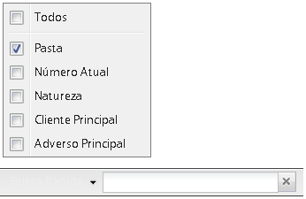 Os campos disponíveis para pesquisa são os que se encontra na própria tela de listagem. Clique em para visualizar os campos disponíveis.